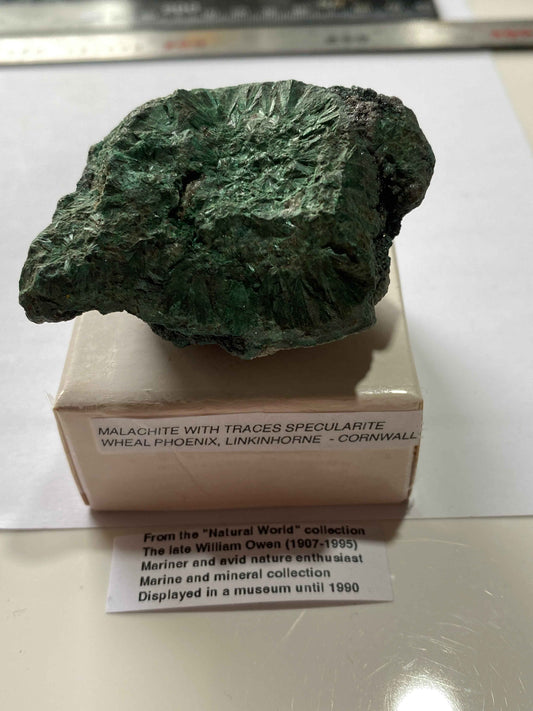 MALACHITE WITH TRACES SPECULARITE : WHEAL PHOENIX, LINKINHORNE, CORNWALL 121g MF4946