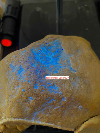 ARAGONITE [ETC] : PACHACAYO MINE, JUNUN, PERU.  916g MF4953