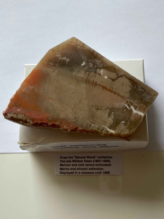 JASPER : SCANNICLIFT MINE, TEIGNBRIDGE, DEVON, ENGLAND 113g MF4954