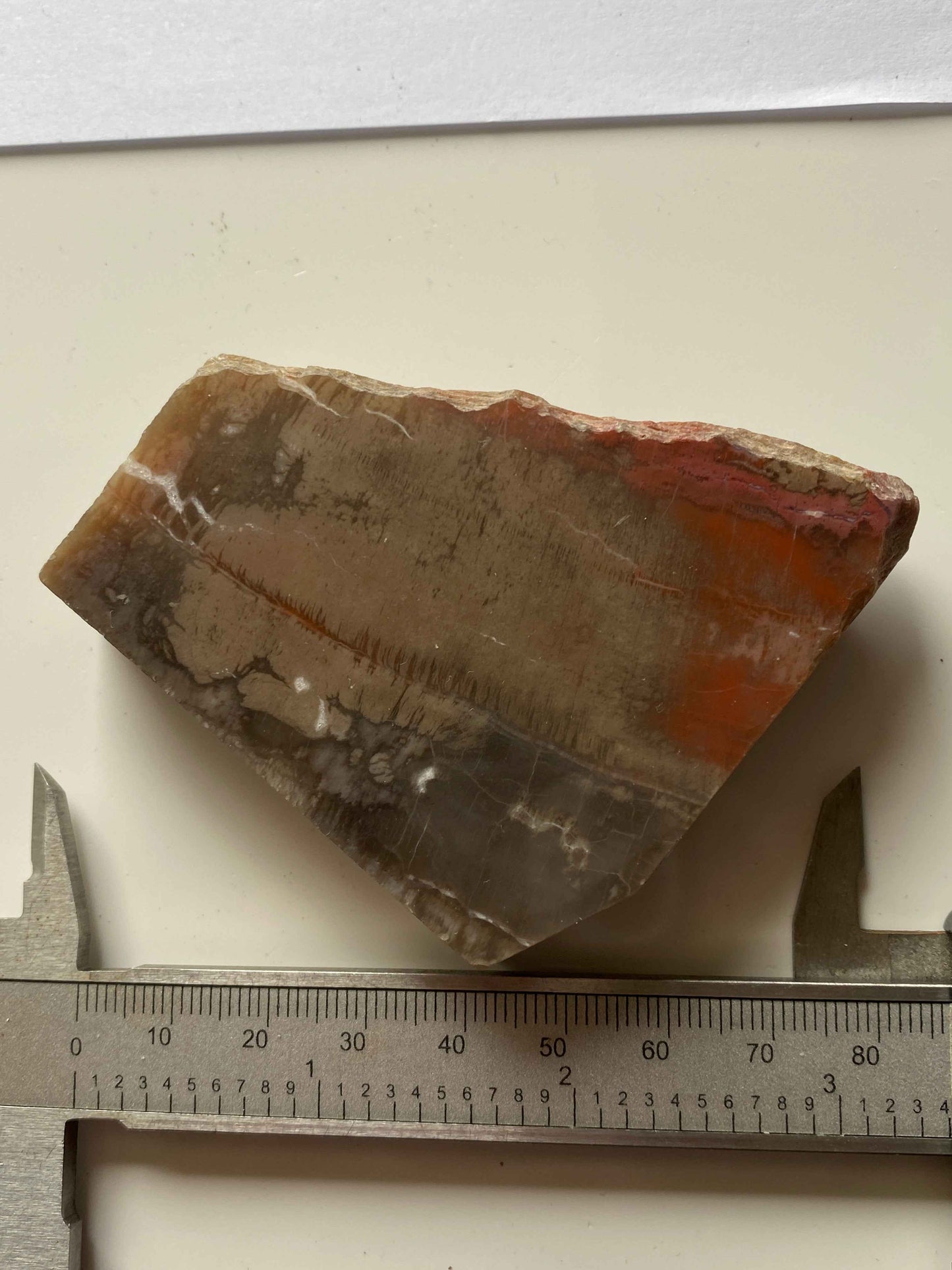 JASPER : SCANNICLIFT MINE, TEIGNBRIDGE, DEVON, ENGLAND 113g MF4954