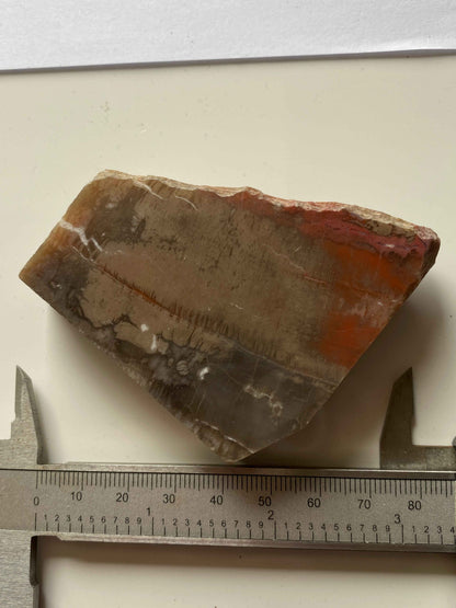 JASPER : SCANNICLIFT MINE, TEIGNBRIDGE, DEVON, ENGLAND 113g MF4954
