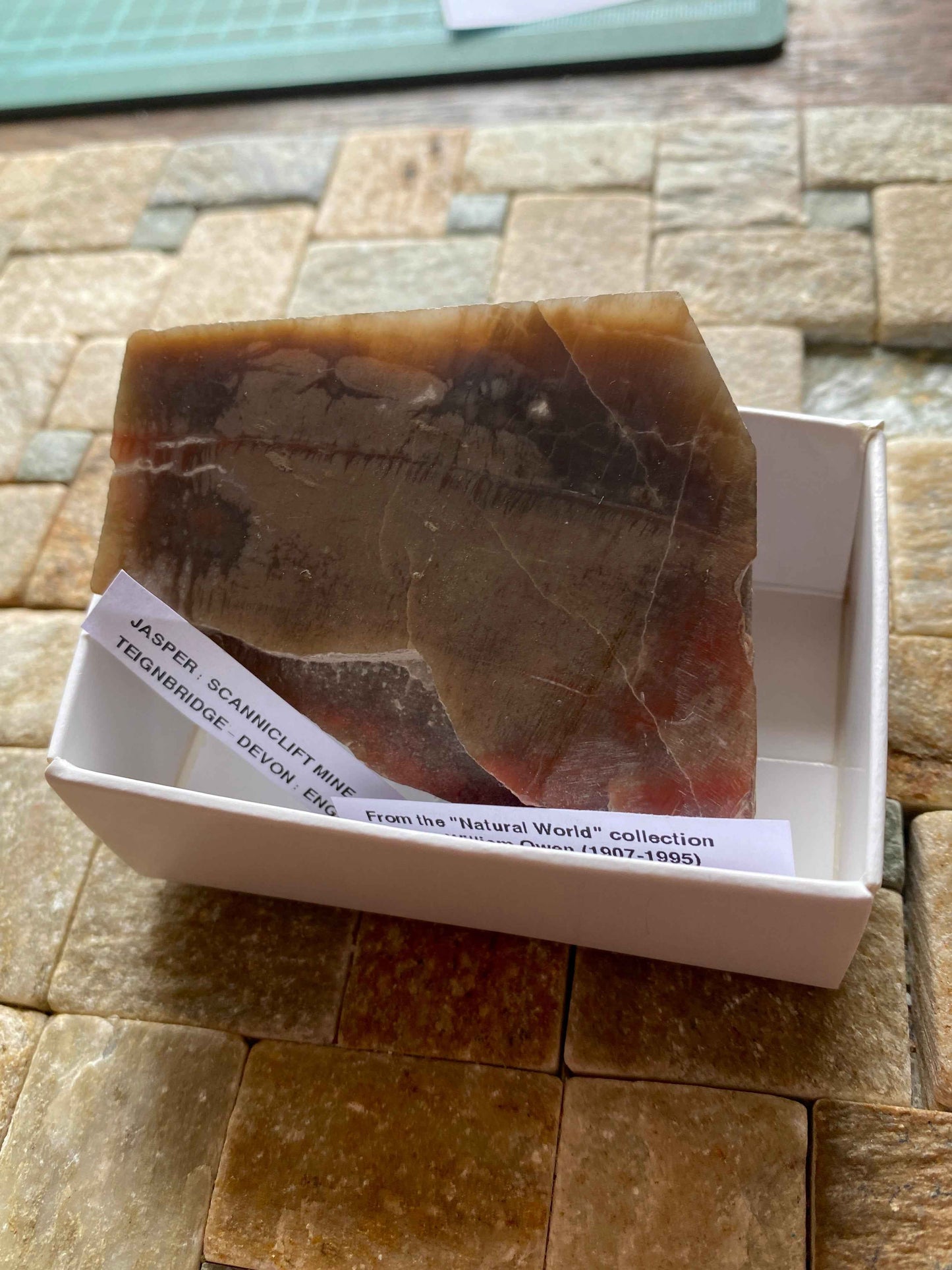 JASPER : SCANNICLIFT MINE, TEIGNBRIDGE, DEVON, ENGLAND 113g MF4954