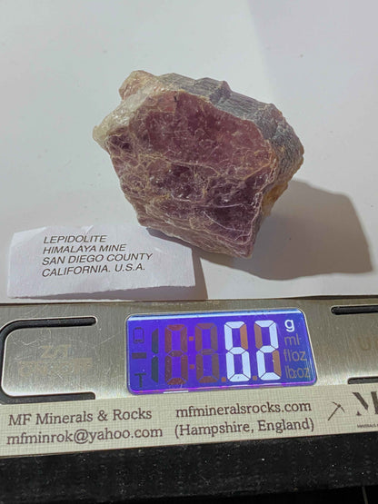 LEPIDOLITE : HIMALAYA MINE, SAN DIEGO COUNTY, CALIFORNIA, U.S.A. 62g MF4956