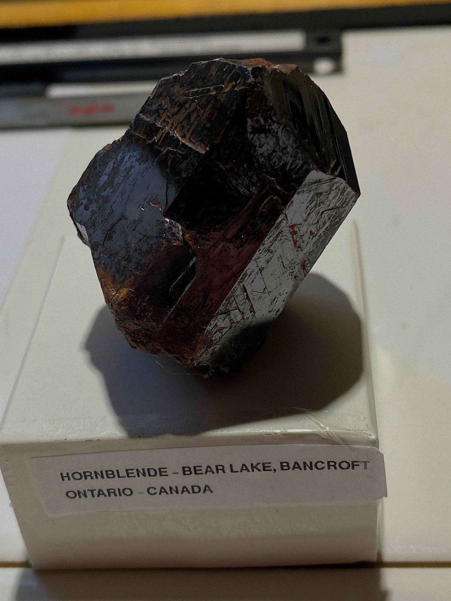 HORNBLENDE : BEAR LAKE, BANCROFT, ONTARIO, CANADA 106g MF4957
