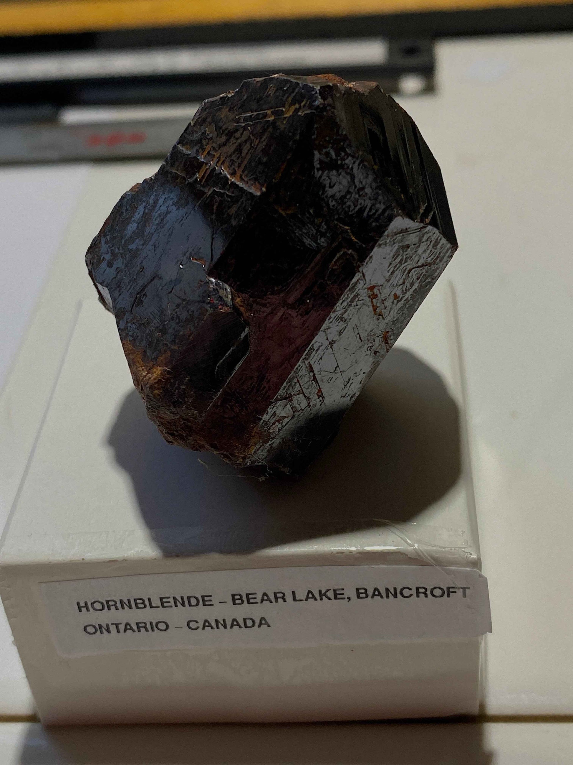 HORNBLENDE : BEAR LAKE, BANCROFT, ONTARIO, CANADA 106g MF4957