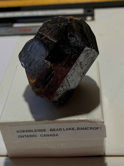 HORNBLENDE : BEAR LAKE, BANCROFT, ONTARIO, CANADA 106g MF4957