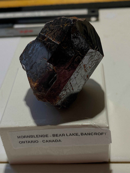 HORNBLENDE : BEAR LAKE, BANCROFT, ONTARIO, CANADA 106g MF4957