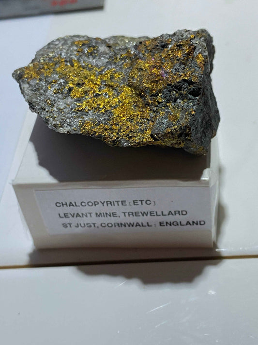 CHALCOPYRITE [ETC]: LEVANT MINE, TREWELLARD, ST JUST, CORNWALL  96g MF4958