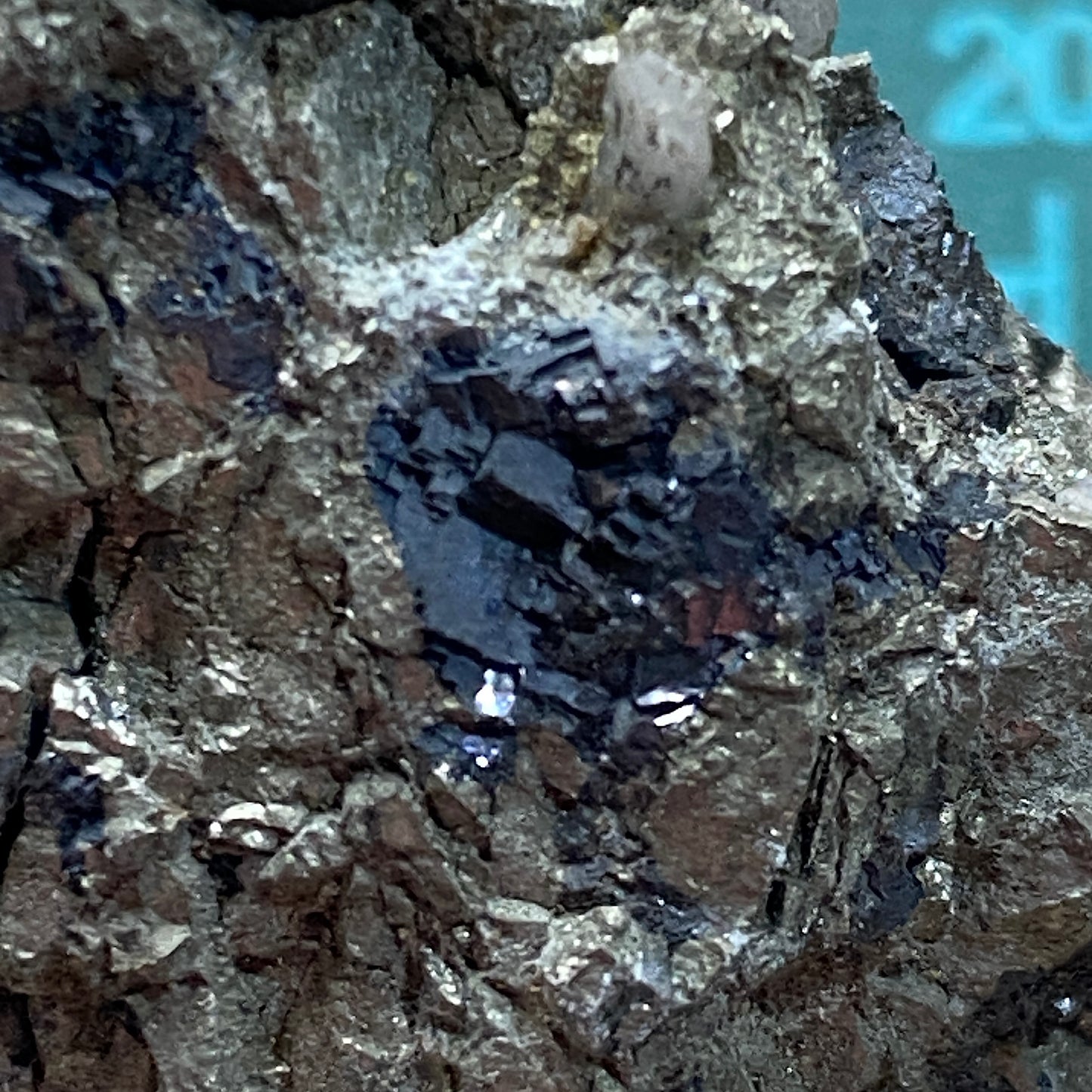 PYRITE/GALENA FROM WHEAL JANE, BALDHU, CORNWALL, ENGLAND  57g MF1321