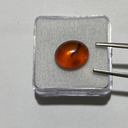 AMBER NATURAL GEMSTONE - KLAIPEDA COUNTY, BALTIC REGION, LITHUANIA 2.05Ct MFG5032