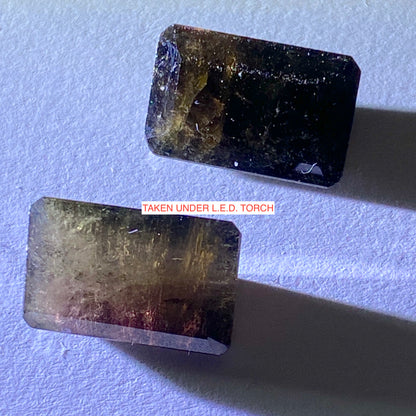 DRAVITE TOURMALINE GEMSTONES x 2 - BRUMADO, BAHIA, BRAZIL  17.70Ct. MFG5033