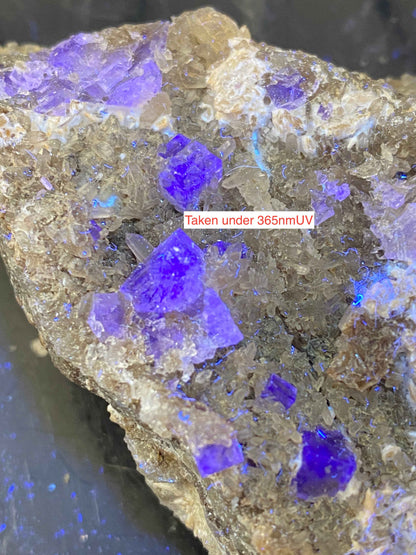 FLUORITE IN DRUZY QUARTZ : BLANCHARD MINE, BINGHAM, NEW MEXICO, U.S.A. 174g MF4963