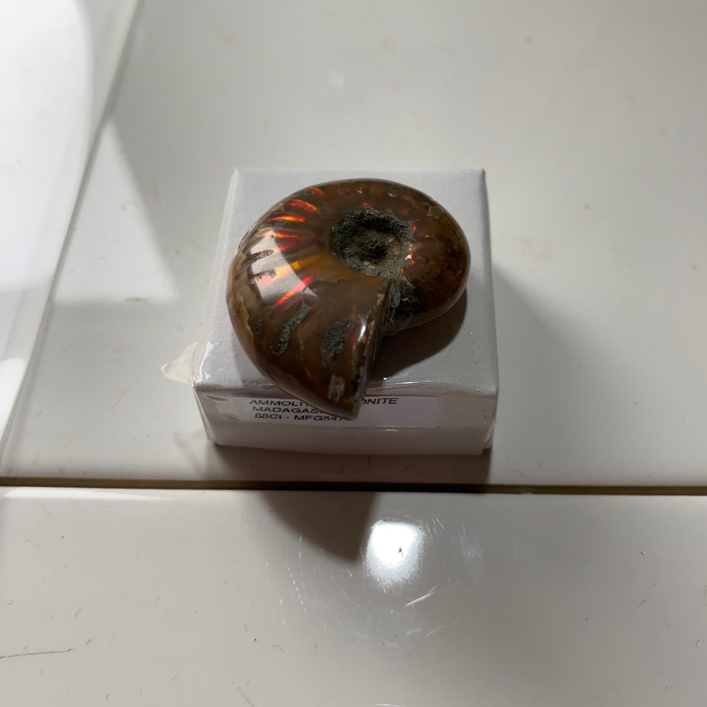 AMMOLITE AMMONITE GEMSTONE - AMBATO-BOENI, MADAGAGASCAR 88Ct MFG5475