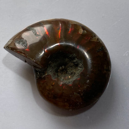 AMMOLITE AMMONITE GEMSTONE - AMBATO-BOENI, MADAGAGASCAR 88Ct MFG5475