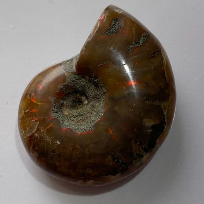 AMMOLITE AMMONITE GEMSTONE - AMBATO-BOENI, MADAGAGASCAR 88Ct MFG5475