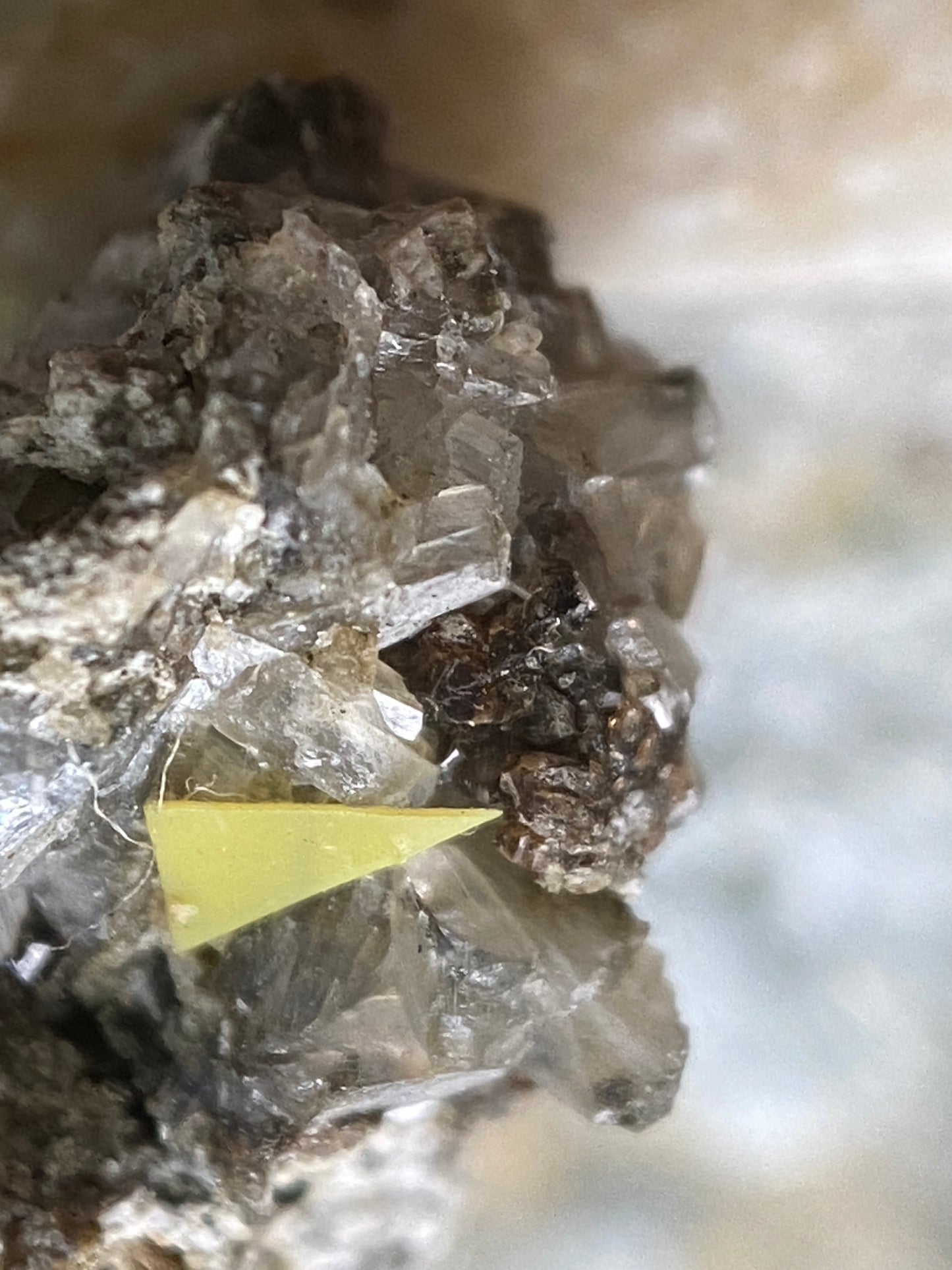 HILAIRITE [ETC] : POUDRETTE QUARRY, MONT SAINT-HILAIRE, QUEBEC, CANADA MF4965