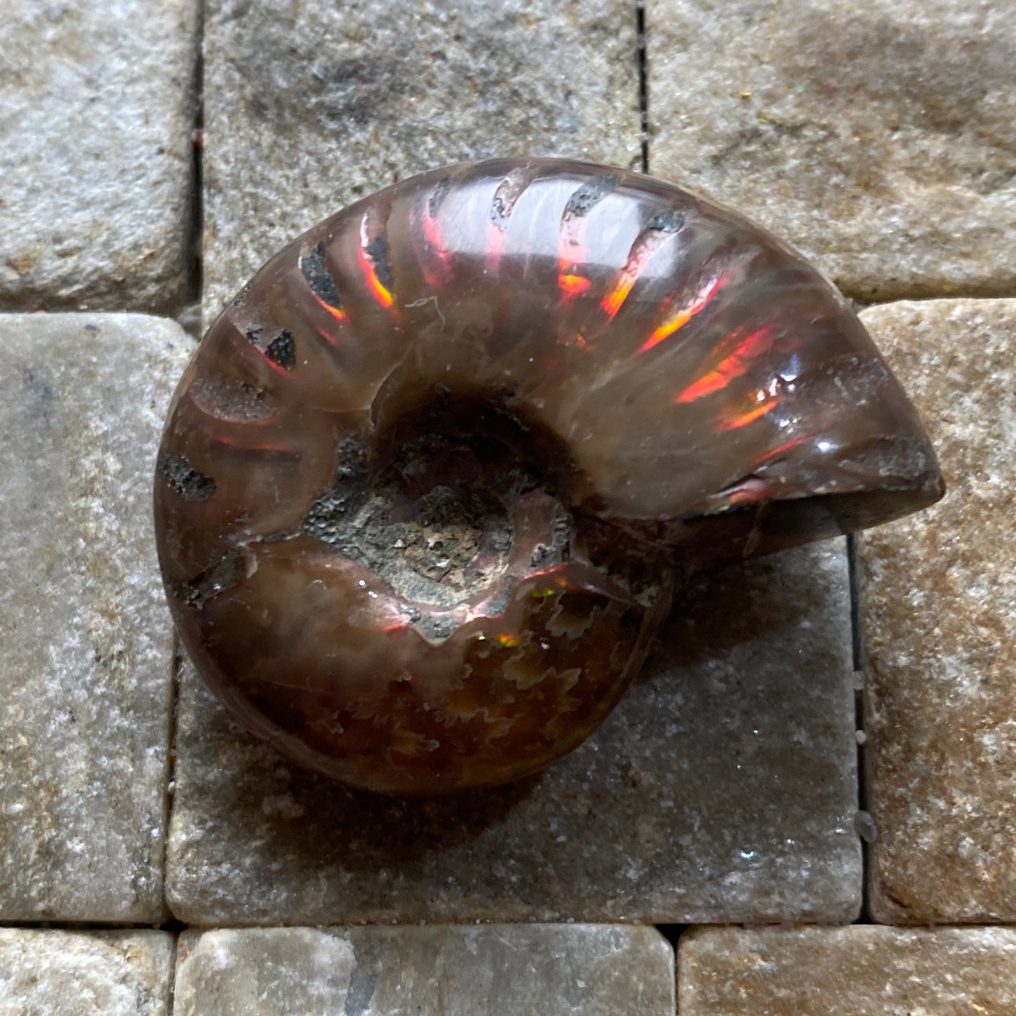 AMMOLITE AMMONITE GEMSTONE - AMBATO-BOENI, MADAGAGASCAR 88Ct MFG5475