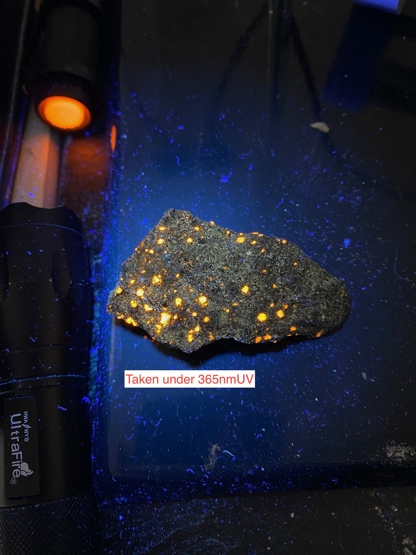 NAUJAKASITE WITH SODALITE : KVANEJELD, ILMAUSSAQ, GREENLAND  48g MF4967