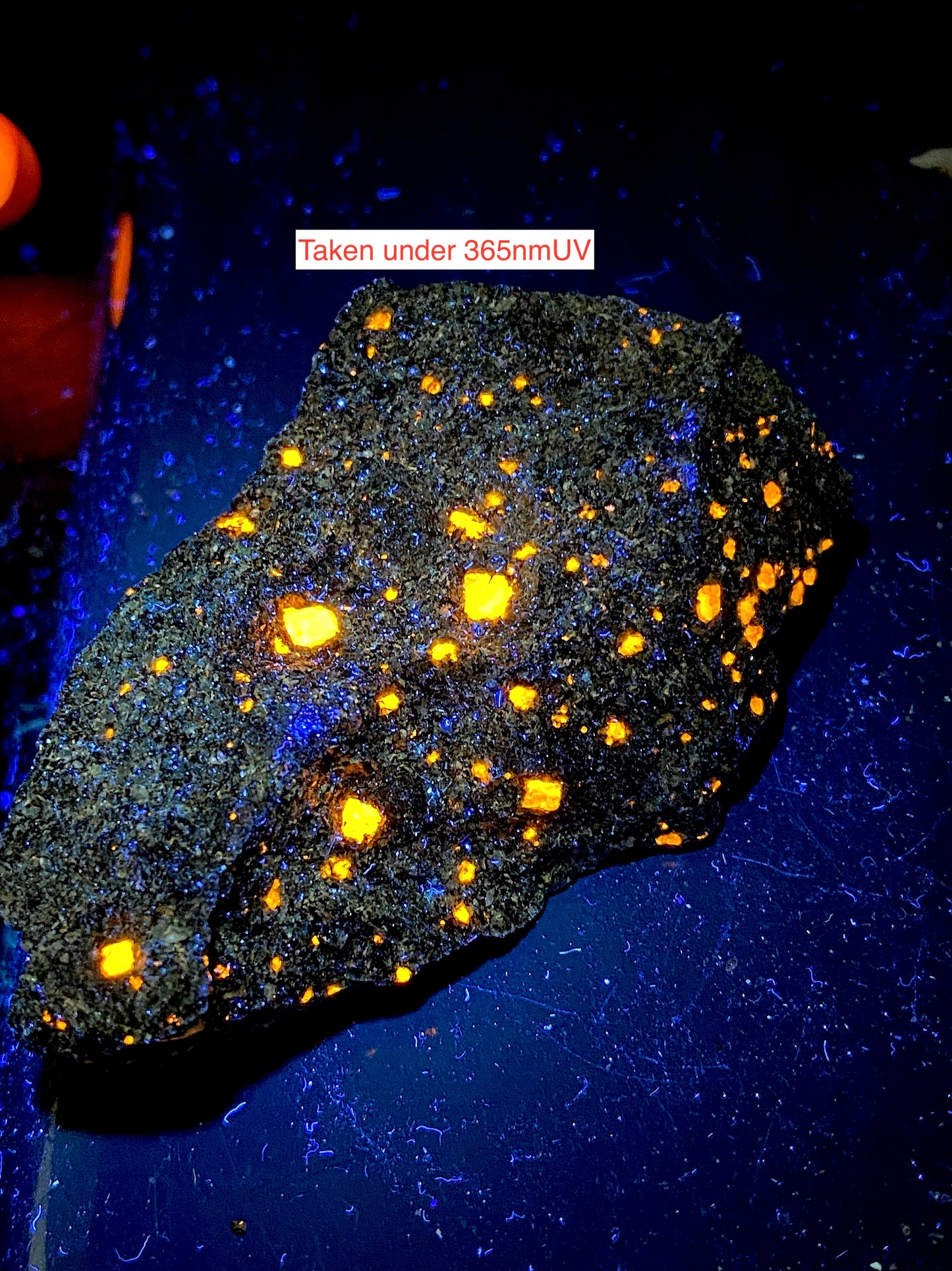 NAUJAKASITE WITH SODALITE : KVANEJELD, ILMAUSSAQ, GREENLAND  48g MF4967