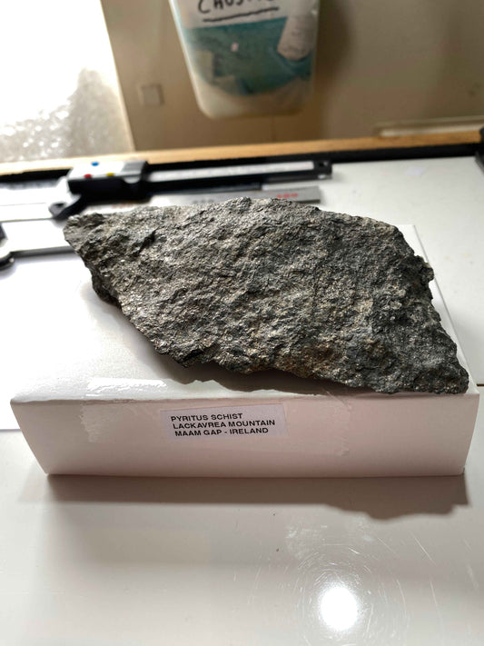PYRITUS SCHIST : LACKAVREA MOUNTAIN, MAAM GAP, IRELAND  215g MF4969
