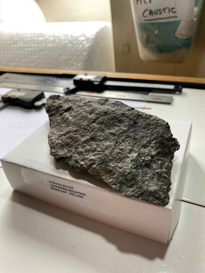 PYRITUS SCHIST : LACKAVREA MOUNTAIN, MAAM GAP, IRELAND  215g MF4969