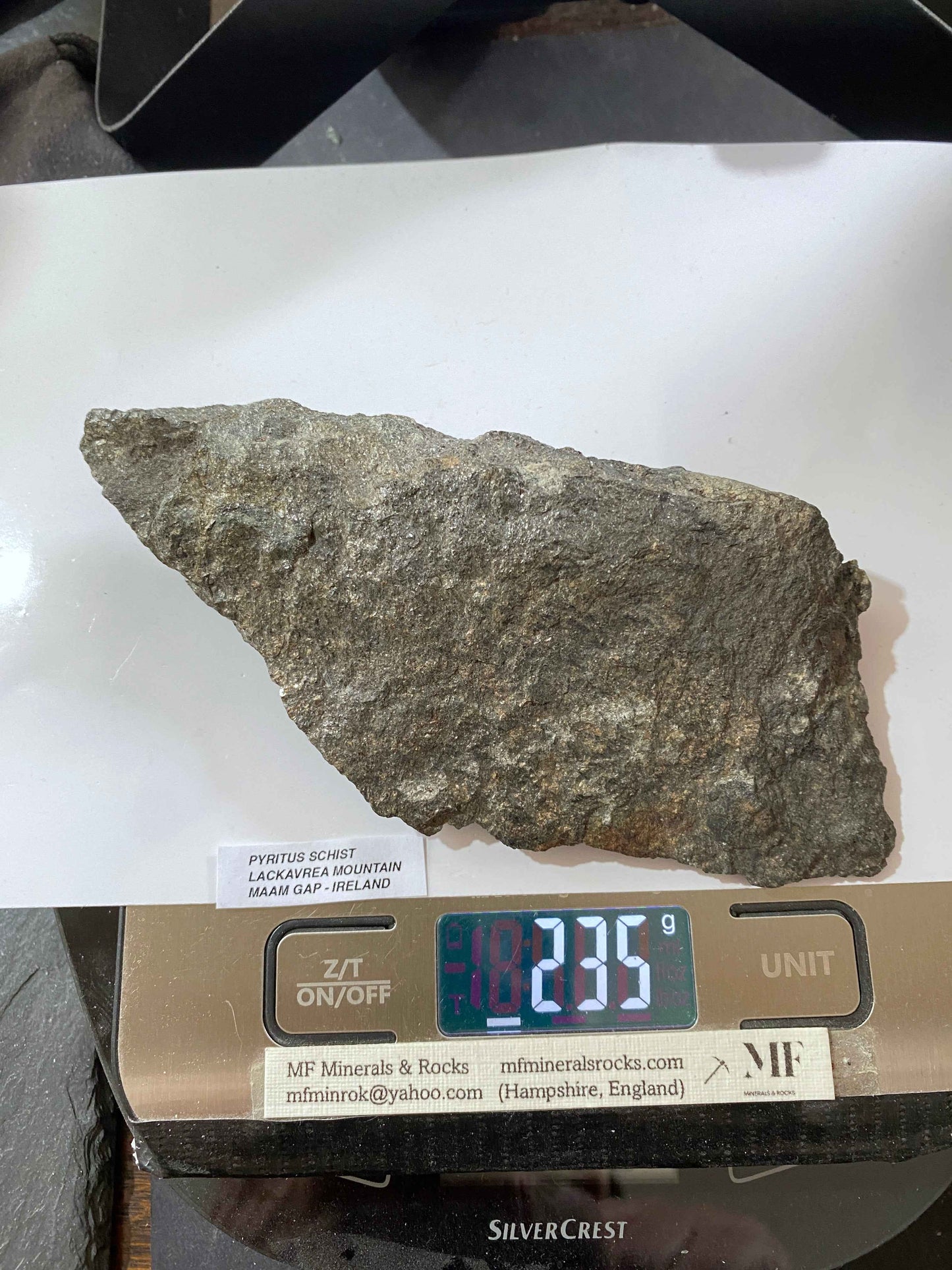 PYRITUS SCHIST : LACKAVREA MOUNTAIN, MAAM GAP, IRELAND  215g MF4969