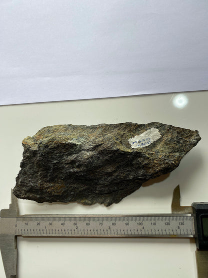 PYRITUS SCHIST : LACKAVREA MOUNTAIN, MAAM GAP, IRELAND  215g MF4969