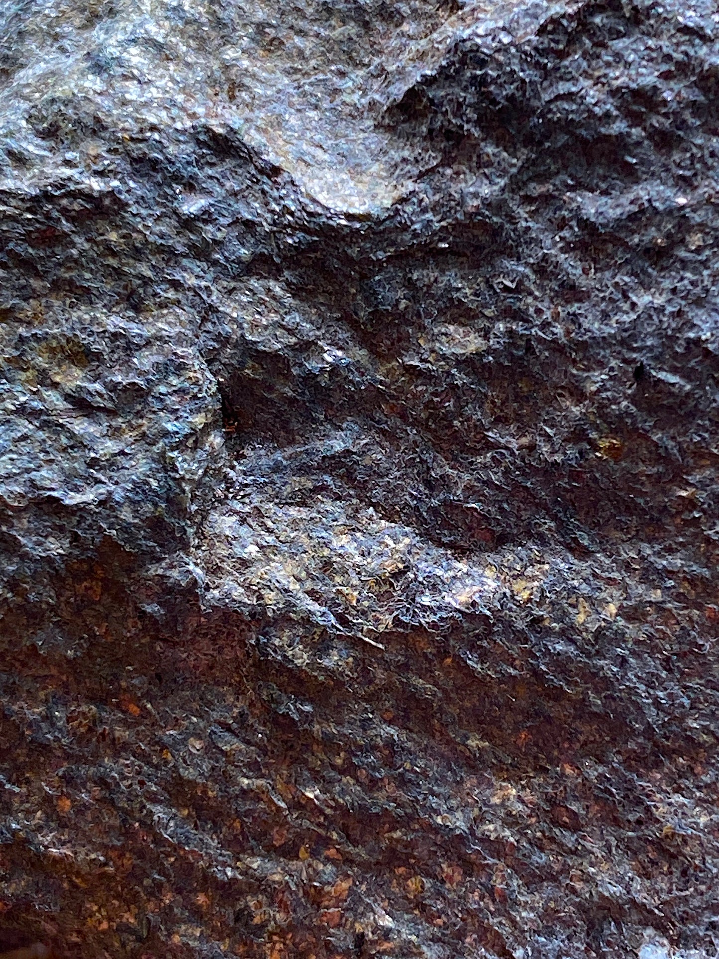 PYRITUS SCHIST : LACKAVREA MOUNTAIN, MAAM GAP, IRELAND  215g MF4969