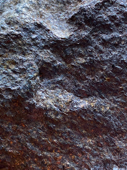 PYRITUS SCHIST : LACKAVREA MOUNTAIN, MAAM GAP, IRELAND  215g MF4969