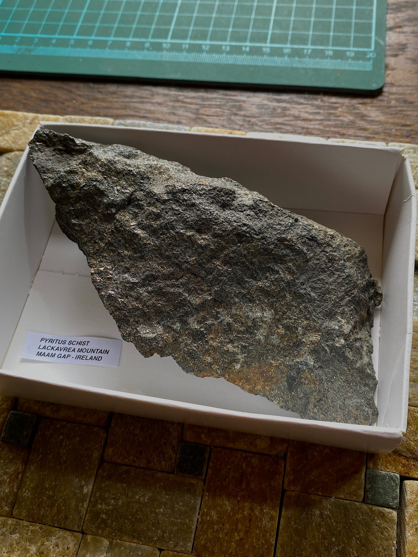 PYRITUS SCHIST : LACKAVREA MOUNTAIN, MAAM GAP, IRELAND  215g MF4969