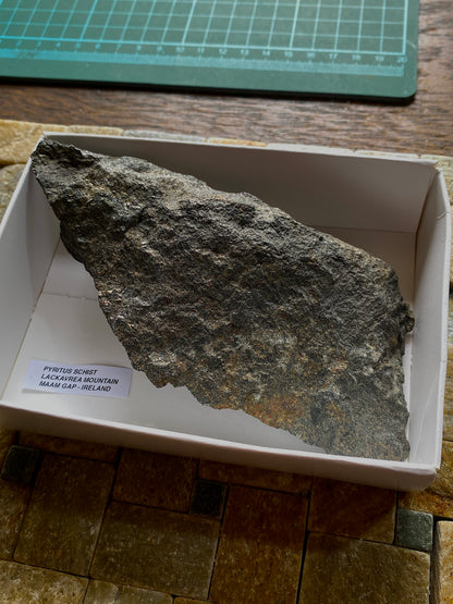 PYRITUS SCHIST : LACKAVREA MOUNTAIN, MAAM GAP, IRELAND  215g MF4969