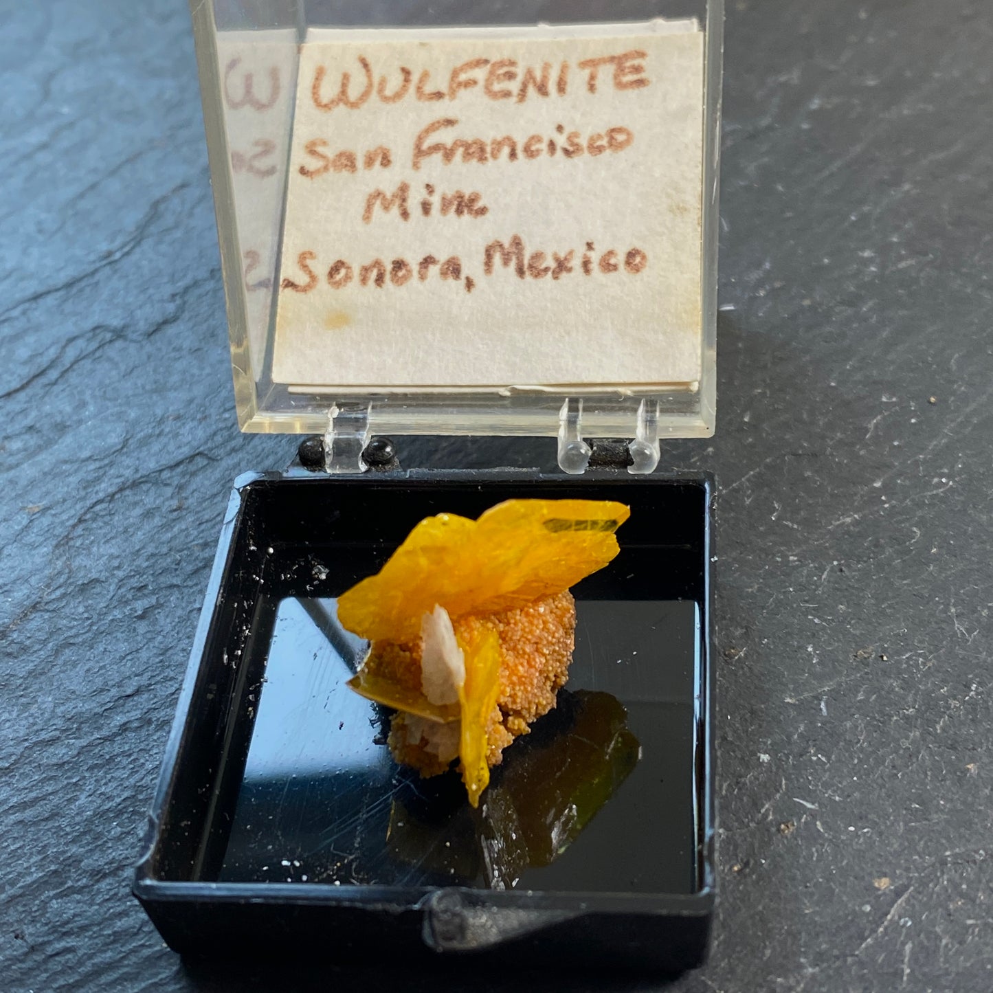 WULFENITE FROM SAN FRANCISCO MINE, SONORA, MEXICO. 5g MF1755