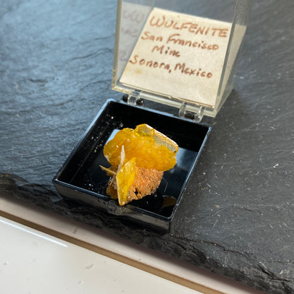 WULFENITE FROM SAN FRANCISCO MINE, SONORA, MEXICO. 5g MF1755