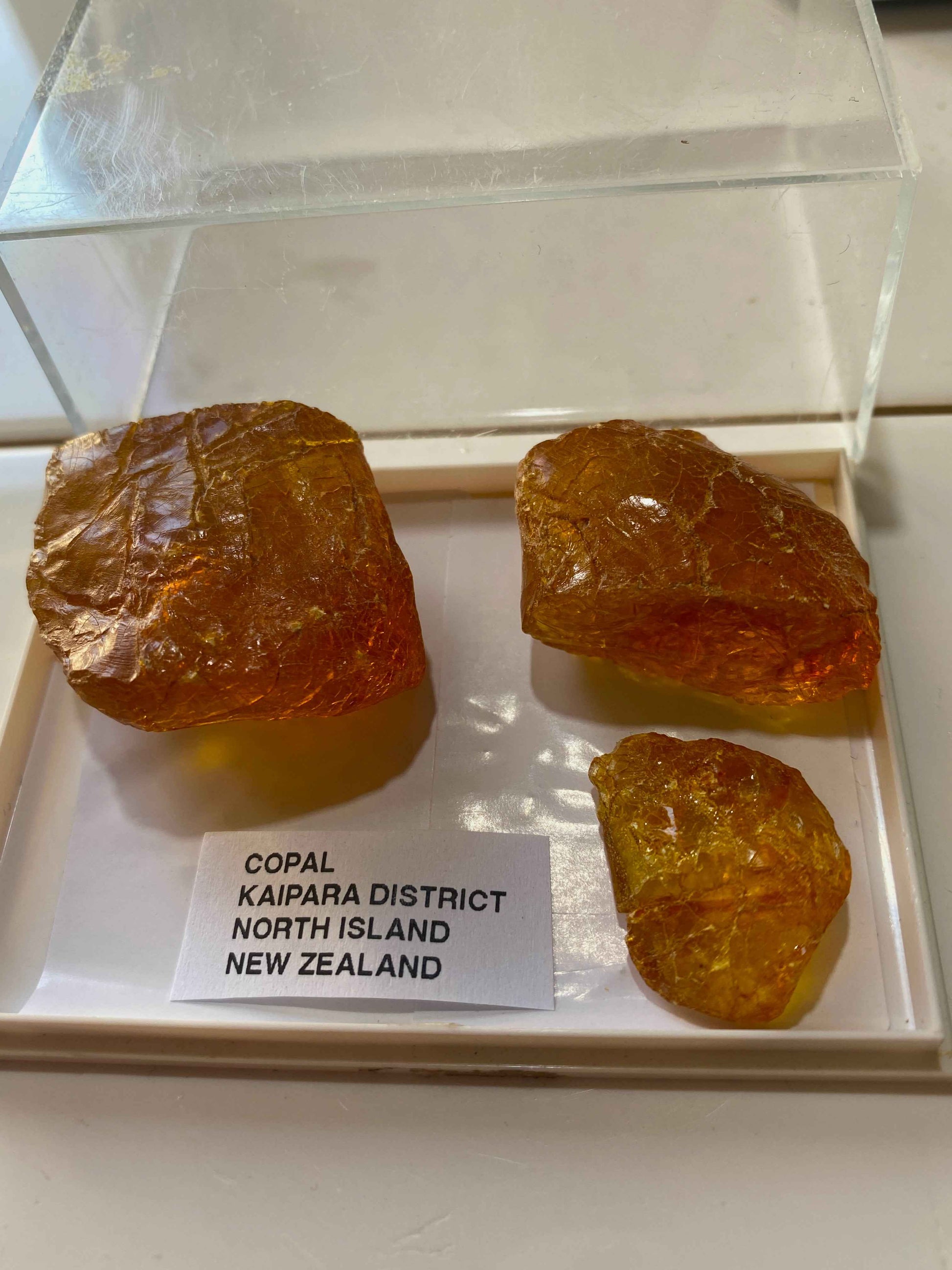 COPAL x 3 : FROM KAIPARA DISTRICT, NORTH ISLAND, NEW ZEALAND  18g MF4978