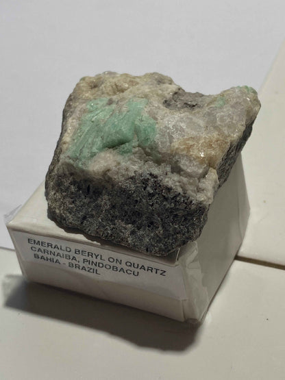 EMERALD BERYL ON QUARTZ : CARNAIBA, PINDOBACU, BAHIA, BRAZIL  58g MF4981