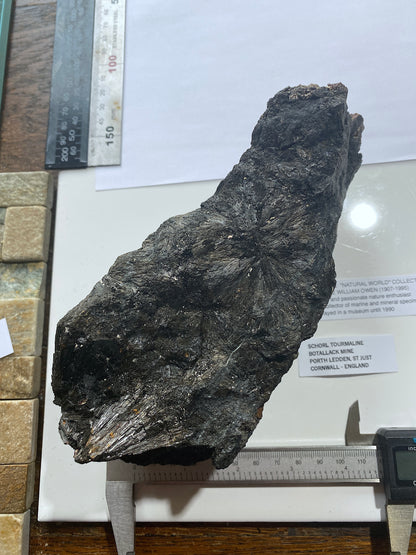 SCHORL TOURMALINE : BOTALLACK MINE, ST JUST, CORNWALL, ENGLAND 1541g MF5002
