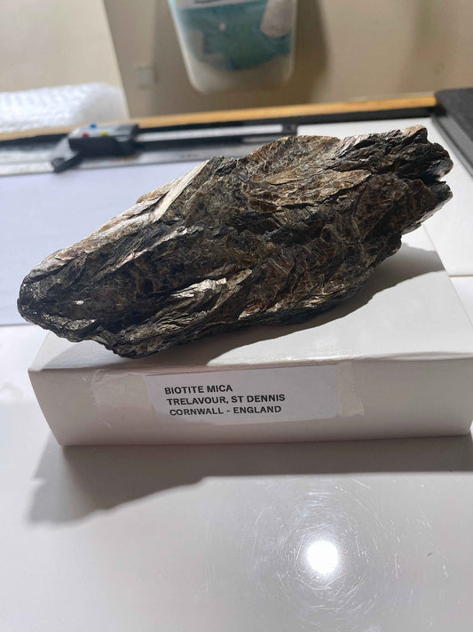 BIOTITE MICA : TRELAVOUR, ST DENNIS, CORNWALL, ENGLAND 283g MF5003