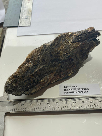BIOTITE MICA : TRELAVOUR, ST DENNIS, CORNWALL, ENGLAND 283g MF5003