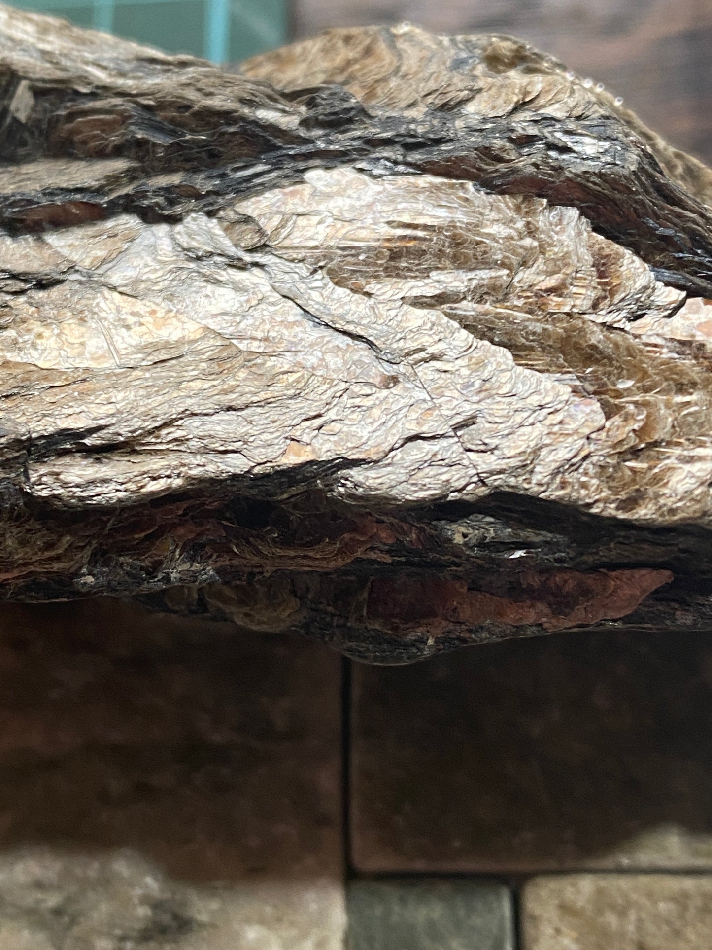 BIOTITE MICA : TRELAVOUR, ST DENNIS, CORNWALL, ENGLAND 283g MF5003