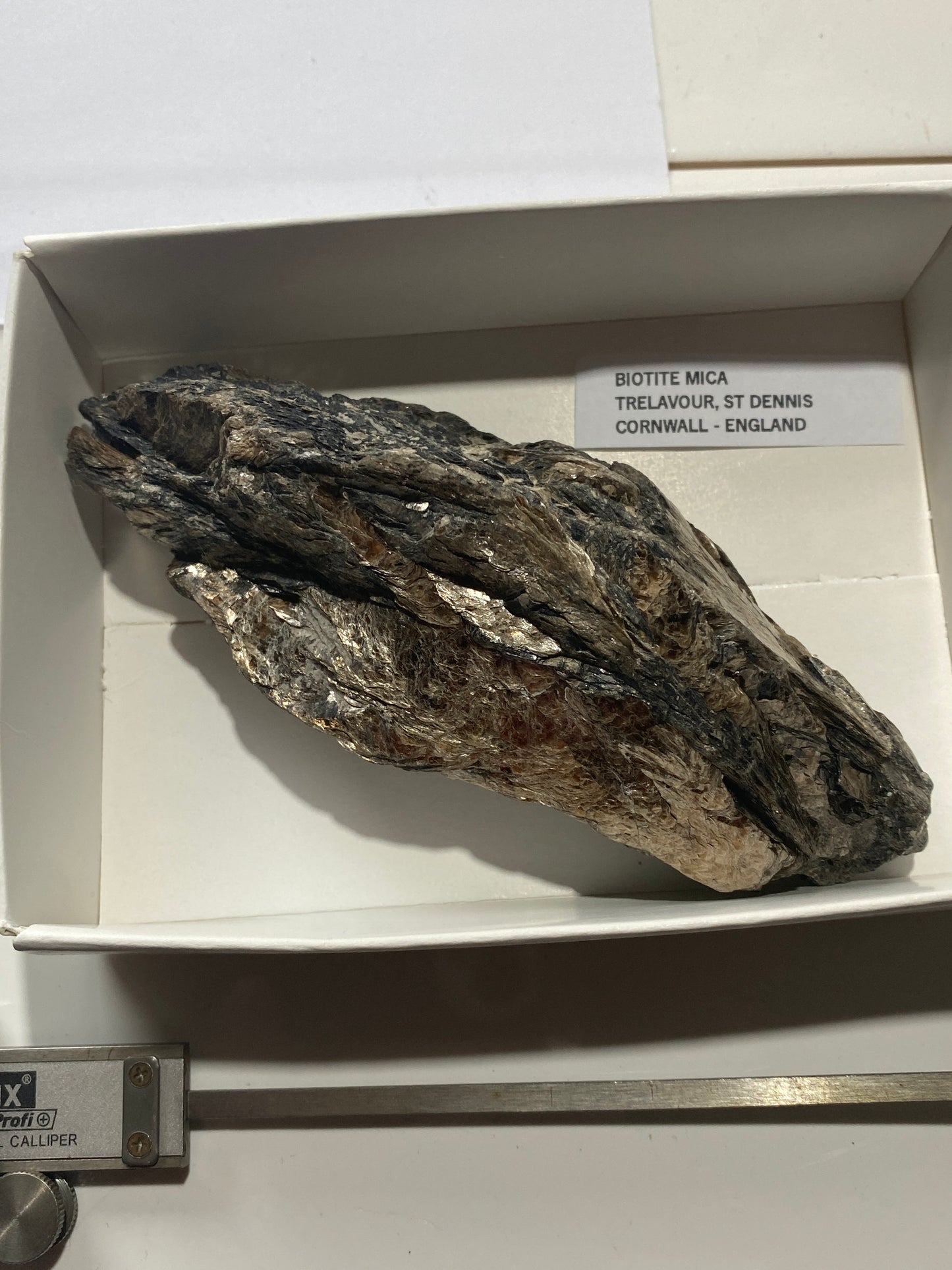 BIOTITE MICA : TRELAVOUR, ST DENNIS, CORNWALL, ENGLAND 283g MF5003