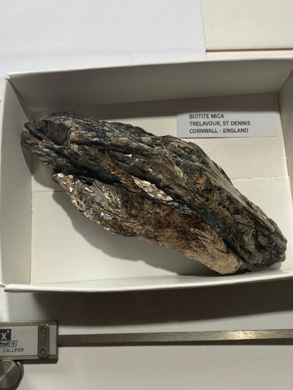 BIOTITE MICA : TRELAVOUR, ST DENNIS, CORNWALL, ENGLAND 283g MF5003