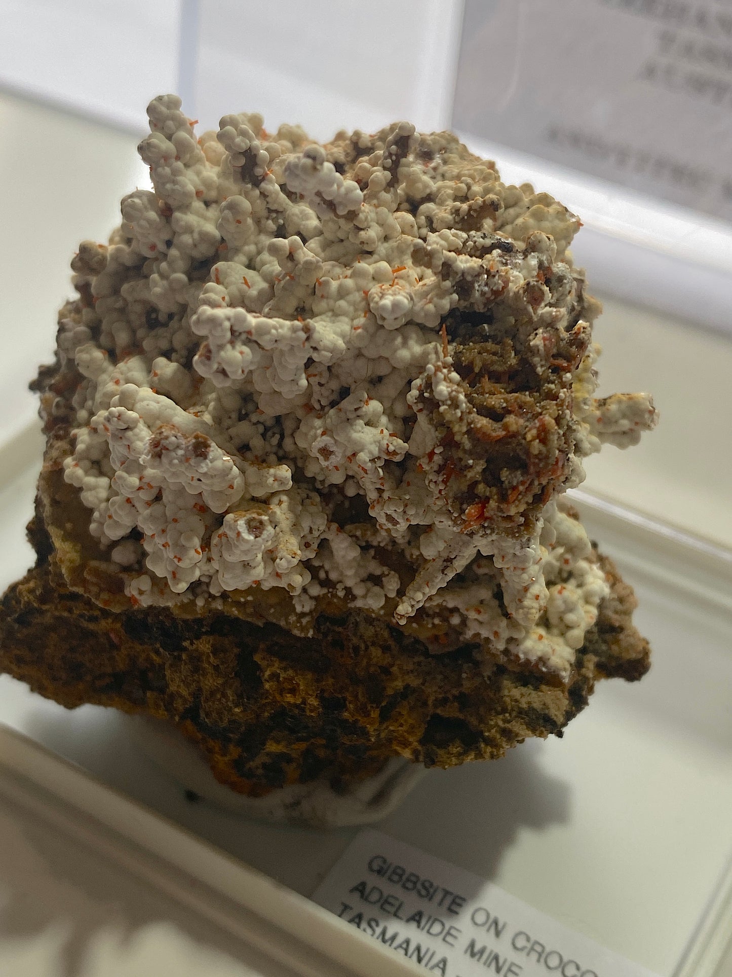 GIBBSITE WITH CROCOITE : ADELAIDE MINE, DUNDAS, TASMANIA, AUSTRALIA MF4984