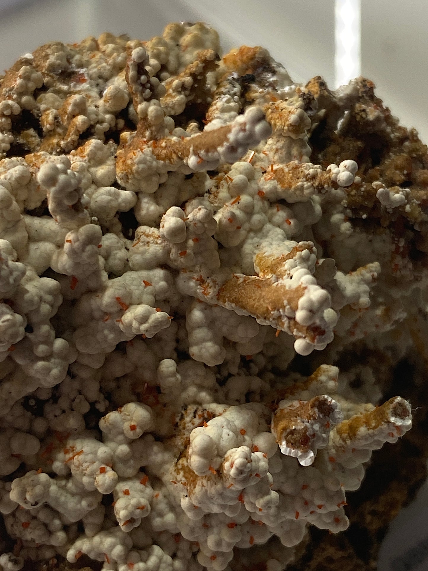 GIBBSITE WITH CROCOITE : ADELAIDE MINE, DUNDAS, TASMANIA, AUSTRALIA MF4984