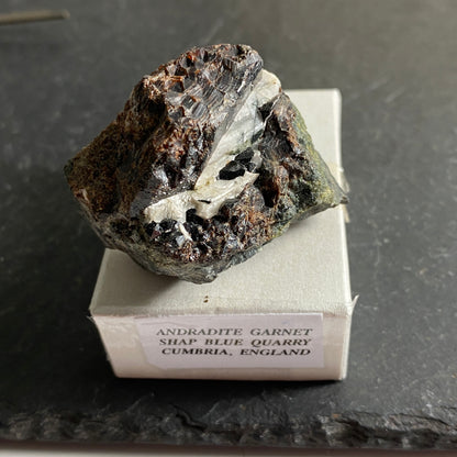 ANDRADITE GARNTE FROM SHAP BLUE QUARRY, CUMBRIA, ENGLAND 52g MF1774