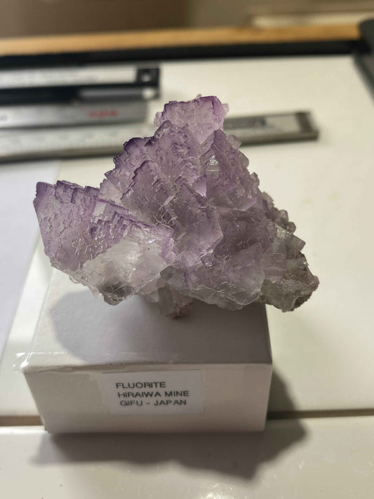 FLUORITE : HIRAIWA MINE, SEKI, GIFU DISTRICT, JAPAN  86g MF4985