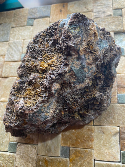 SIDERITE [ETC] : SOUTH CROFTYBMINE, POOL, CORNWALL, ENGALND 853g MF5005