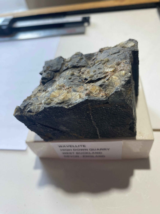 WAVELLITE : HIGH DOWN QUARRY, WEST BUCKLAND, DEVON, ENGLAND 180g MF5006