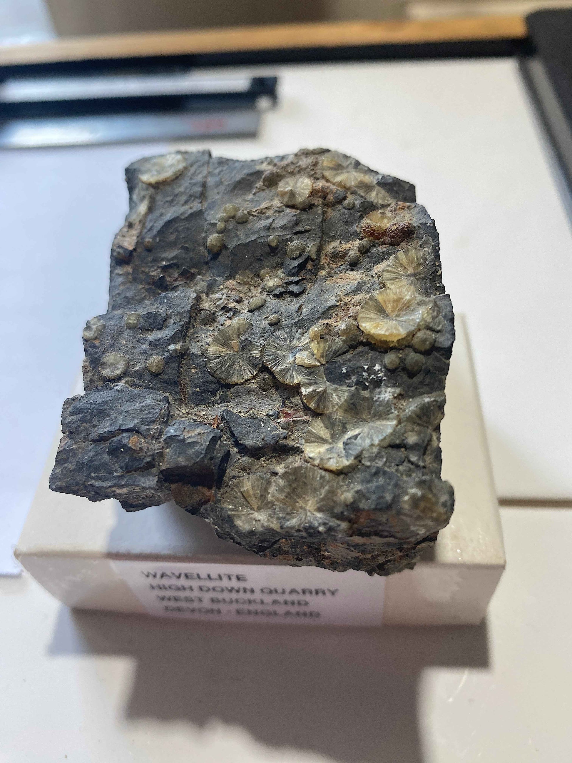 WAVELLITE : HIGH DOWN QUARRY, WEST BUCKLAND, DEVON, ENGLAND 180g MF5006