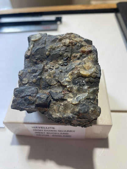 WAVELLITE : HIGH DOWN QUARRY, WEST BUCKLAND, DEVON, ENGLAND 180g MF5006