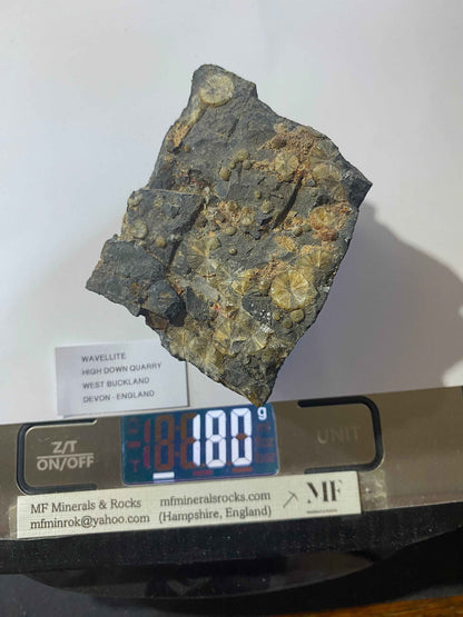 WAVELLITE : HIGH DOWN QUARRY, WEST BUCKLAND, DEVON, ENGLAND 180g MF5006